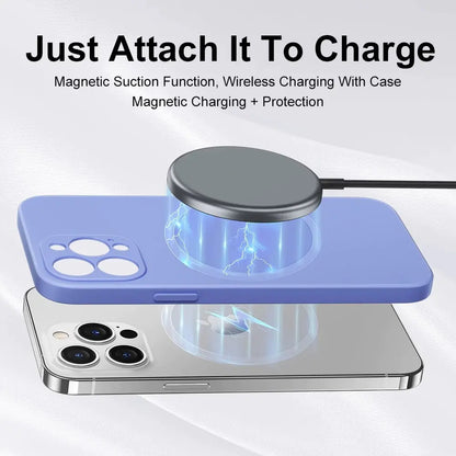 MagSafe Liquid Case • iPhone Pro Series